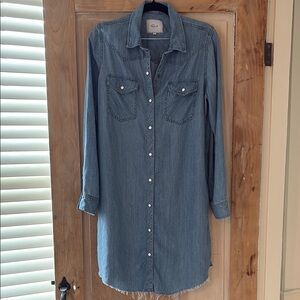Rails Denim Shirt Dress
